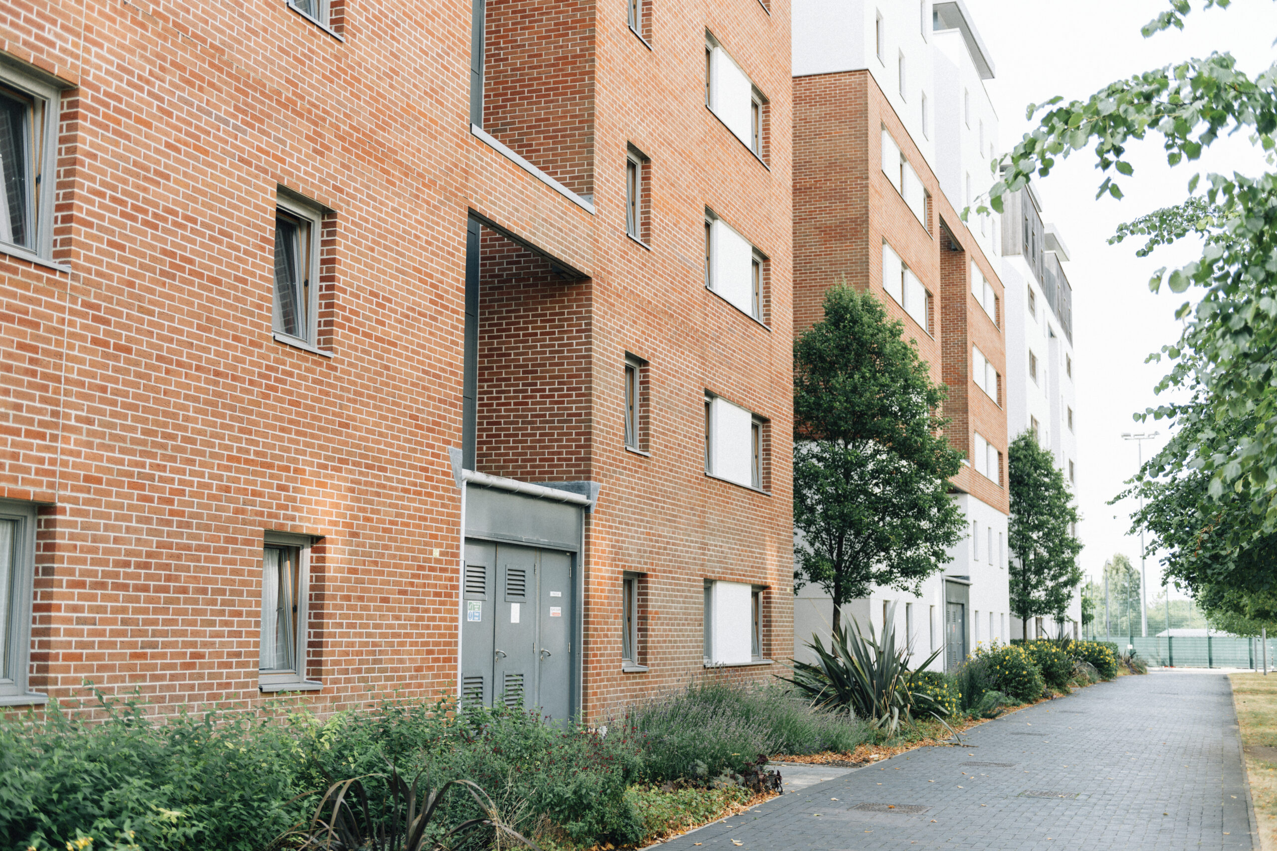 Efectos al pasar el cursor sobre la imagen